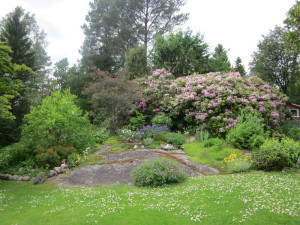 Sommar i Björboholm – Ellas trädgård