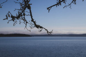 Strandkullepromenaden i Björboholm, vinter 2021.