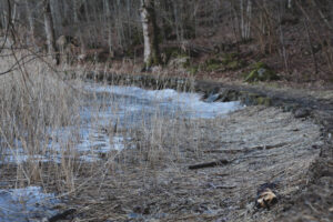 Strandkullepromenaden i Björboholm, vinter 2021.